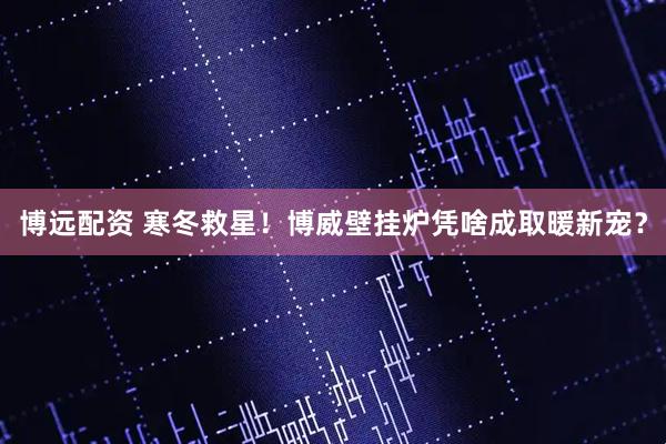 博远配资 寒冬救星！博威壁挂炉凭啥成取暖新宠？