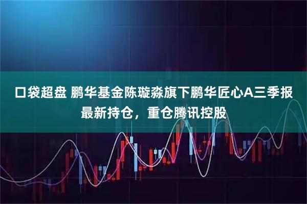 口袋超盘 鹏华基金陈璇淼旗下鹏华匠心A三季报最新持仓，重仓腾讯控股
